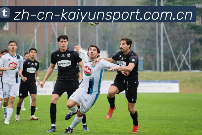 开云体育平台生态图