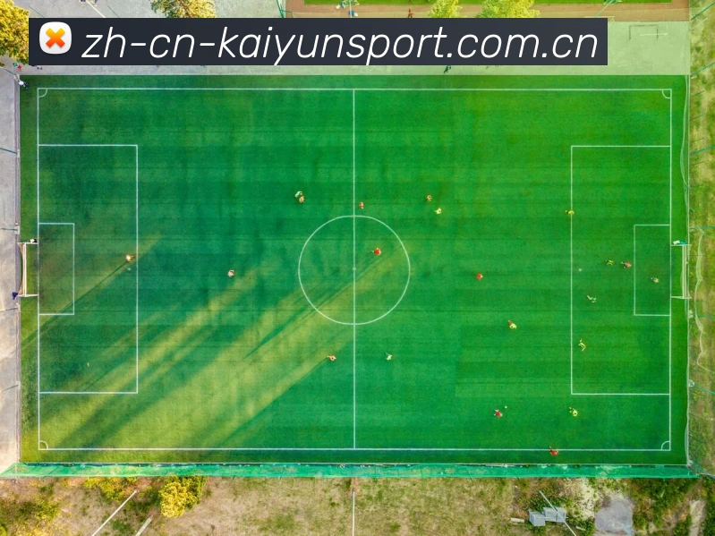 开云体育全站App